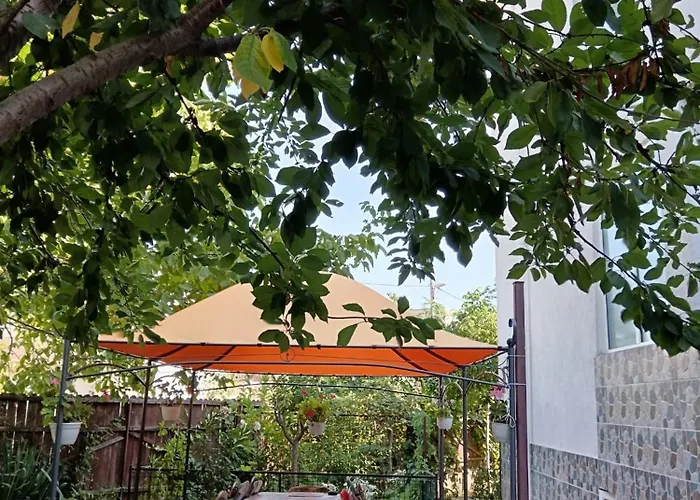 Prahoveana 招待所 *