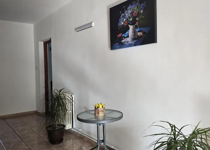 招待所 Prahoveana *